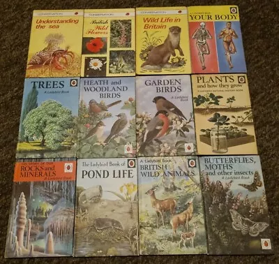 Vintage Ladybird Books Nature Series 536 651 And 727    12 Matt Books Good  • £39.95