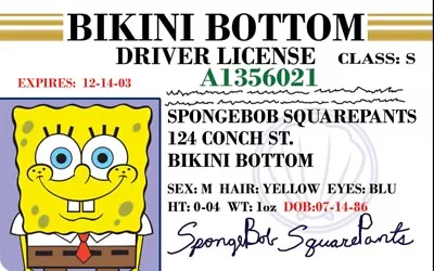 SpongeBob SquarePants Parody Drivers License On A 2.5”x3.5” Metal Fridge Magnet • $5.75