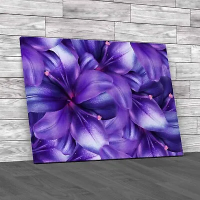 Discover Exquisite Lily Flowers Bright Floral Canvas Print Large Picture Wall • £41.95