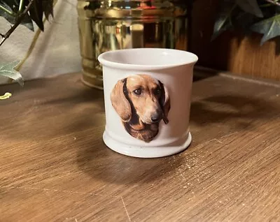 DOXIE PIN/PEN/PENCIL (?) HOLDER ~ DACHSHUND PIC On FRONT/WORD DACHSHUND On BACK • $4.99