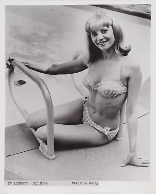 1966 Press Photo Actress Patricia Harty Models Bathing Suit At Swimming Pool • $12.99