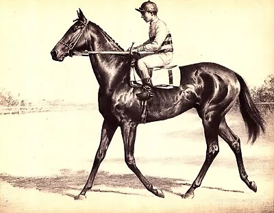  BIMELECH  Vintage Original Horse Print 1940 • £20.43