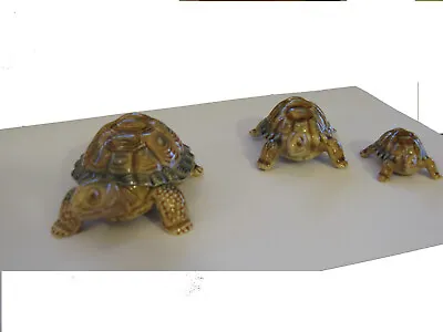 Wade Porcelain Tortoise Family • £20