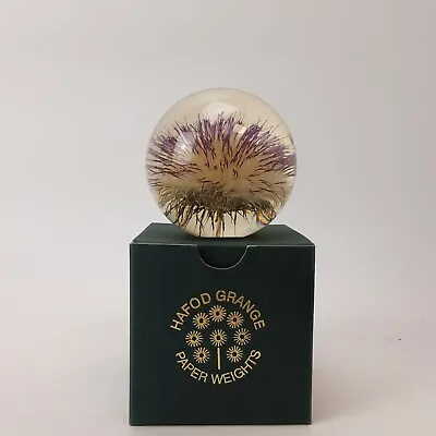 £28 • Buy Vintage Hafod Grange Open Thistle Resin Paperweight With Box Great Condition