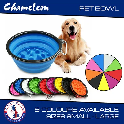 Collapsible Bowl Pet Dog Cat Slow Food Feeder - Available In 2 Sizes • £5.65