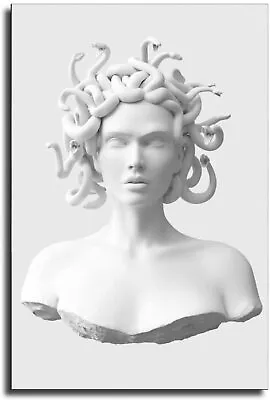 Medusa White Abstract Snake Head Statue Canvas Art Poster And Wall Art Picture • $59.99