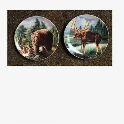 Set Of 2 Brown Bear And Moose Collector Plates Rustic Lodge Cabin Nature 8.25  • $24.95