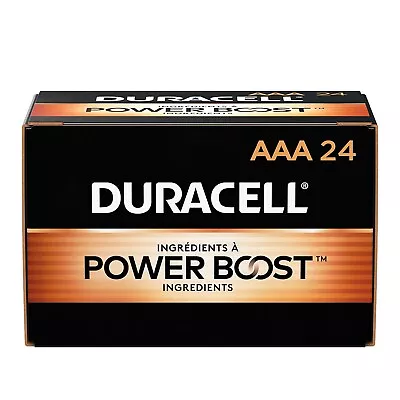 Duracell Coppertop AAA Alkaline Batteries 24/Pack (MN2400BKD) 2768002 • $20.99