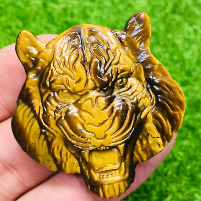 TOP！Natural Tiger Eye Hand Carved Tiger Skull Quartz Crystal Healing 1pc • $13.64