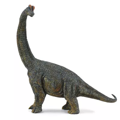 CollectA Brachiosaurus -Deluxe 1:40 Scale • £34.99