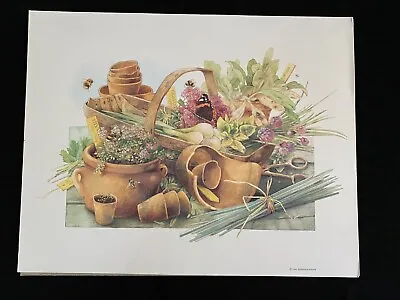 $29.99 • Buy Vintage Marjolein Bastin Butterfly Flowers Herbs Pots Art Print Hallmark 11x 14