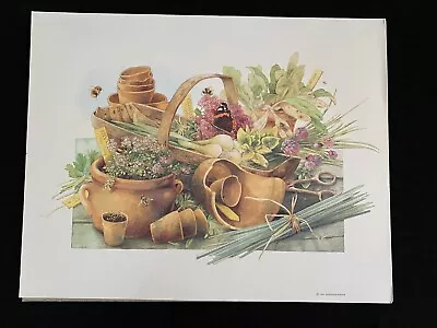 Vintage Marjolein Bastin Butterfly Flowers Herbs Pots Art Print Hallmark 11x 14 • $19.99