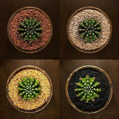 £3.37 • Buy 1-3mm Decorative Stone Pebbles Gravel For Cactus Succulent Plants Edging Basing