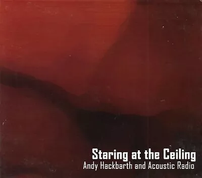 Staring At The Ceiling By Andy Hackbarth And Acoustic Radio (CD 2004) • $12.99