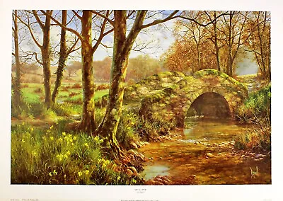 David Dipnall  Daffodil Walk  Woodland Sunlight Brown Fine Art Print Collectible • £24.99