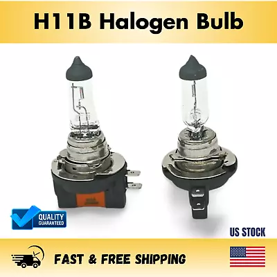 H11B Halogen Headlight Bulb Pair (2 Bulbs) • $8.89