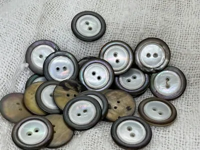 24 Vintage Abalone Pearl Buttons W White MOP Inserts • $10