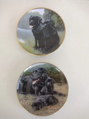 £15 • Buy 2 Labrador Collectors Plates Nigel Hemming Fine Porcelain Limited Edition Dog 