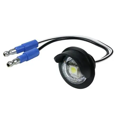 LED LICENSE LAMP Electrical Lighting And Body License Plate Light • $28.08