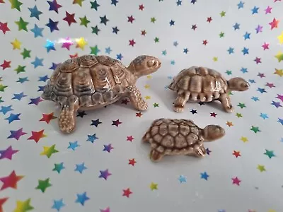 Wade Whimsies Family Set Of 3 Tortoise  • £10.99