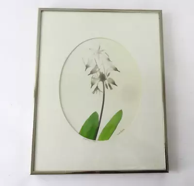 Vintage Antique Vernon Soper Painting Watercolor Framed  Shooting Star  • $80