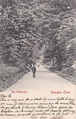 London Undivided Back PostcardThe Wilderness - Hampton Court (Posted 1903). • £9.99