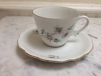 Vintage Bone China Tea Cup & Saucer Seltmann Weiden Bavaria • £8.50