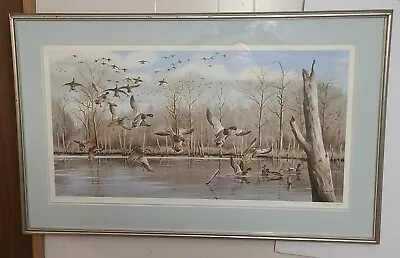 Maynard Reece FramedMatted FLOODED TIMBERS Mallard Duck 41 ×25.75  Signed #906 • $147.21