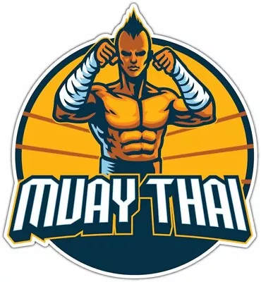 Muay Thai Mixed Martial Arts MMA Fighter Car Bumper Vinyl Sticker Decal 4 X5  • $3.99