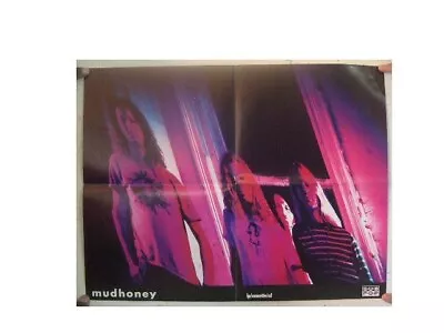 Mudhoney Poster Band Shot  • $99.99