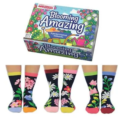 United Oddsocks Blooming Amazing Set Of 6 Mismatched Odd Socks UK 4-8 Ladies • $21.12