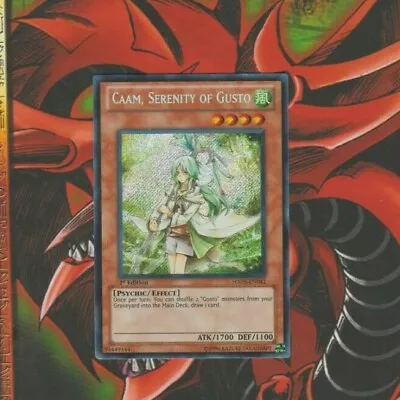 Yu-Gi-Oh Caam Serenity Of Gusto - Hidden Arsenal 5 - HA05-EN041 - 1ST Edition  • $21.35