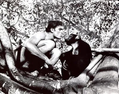 Mike Henry Shirtless Tarzan 8x10 Photo #T2178 • $8.99