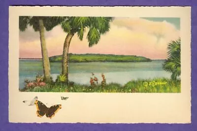 Barnhill Tampa Bay Bridge Clearwater Vtg Art Print Color Gandy FL NOS Saxony Old • $0.99