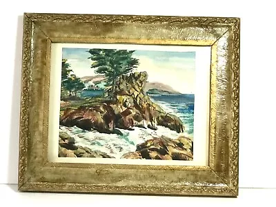 Lone Cypress Monterey California  Watercolor Painting Unsigned • $129