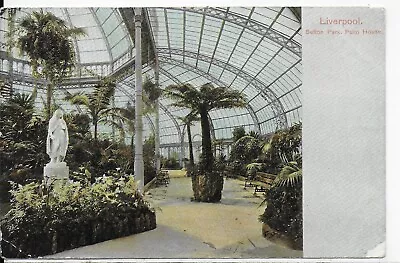 £3.99 • Buy Genuine Vintage Postcard,sefton Park,palm House,liverpool,merseyside,1904