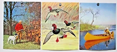 Vintage 3 Hunt Fishing Prints Ready For Action Netting A Whopper Scaup Duck • $14.95