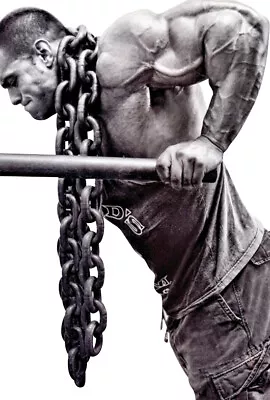 Rope Fit Weight Lifting Chains Barbell Chains Cross Fit Large Chains • $124.95