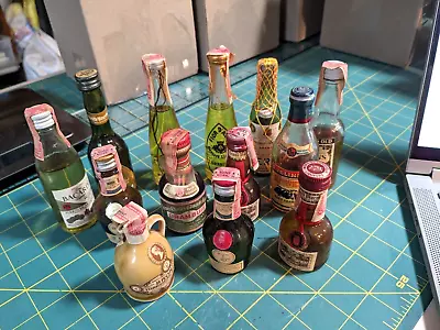 Lot Of 13 Vintage  Mini Alcohol Liquor Miniature Bottles - Empty • $3.99