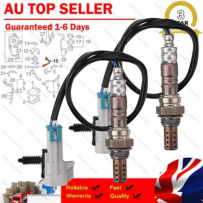 Pair O2 Oxygen Sensor 12569429 For Holden Commodore Monaro Statesman V8 LS1 LS2 • $36.95