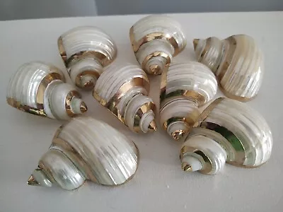 8 Mother Of Pearl Turbo Shell Napkin Holders Rings Rhodium Gold Brass Adorned • $69.99