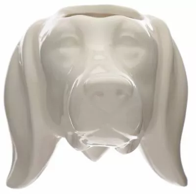£9.95 • Buy Novelty Dog Head Ceramic Garden Wall Hanging Planter Pot New In Box