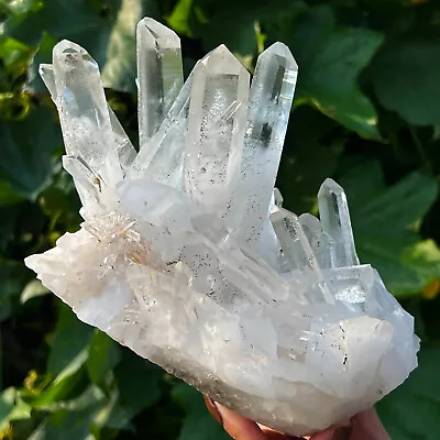 6.85LB A+++Large Natural White Crystal Himalayan Quartz Cluster /mineralsls 477 • $0.99