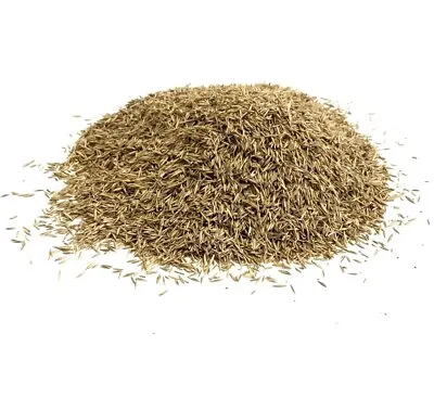 LAWN GRASS SEED 1KG BACK HARDWEARING ( TREATS 20 SQ/M ) From Maltbys Stores Ltd. • £8.99