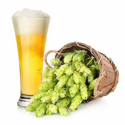 American Hop SMaSH Beer Recipe Kit • $51.99