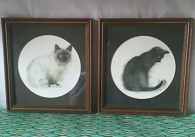 £30 • Buy Mads Stage Cat Prints - Framed And Mounted