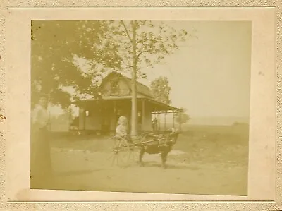 Antique Cabinet Card Photograph Little Boy Girl Driving A Goat Cart • $10