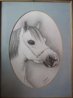 Framed Pony Pencil Drawing Picture - K. Holmes June 04 • £15