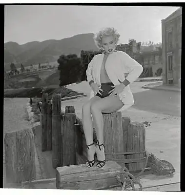 Actress Mamie Van Doren Posing In Scenic View - Luscious Mamie - 1953 Old Photo • $9