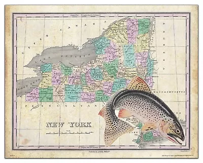 Rainbow Trout Fly Fishing New York State Map Art Print Cabin Home Wall Decor  • $9.95